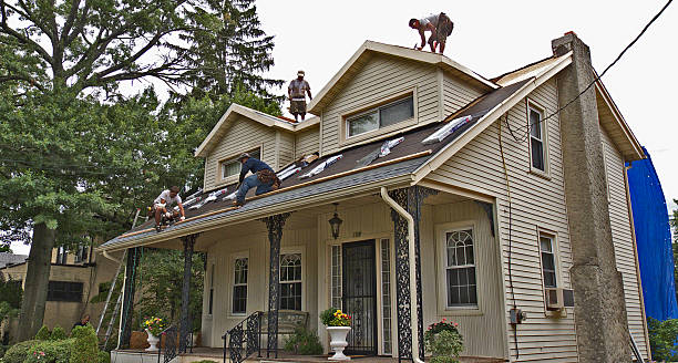 Roof Gutter Cleaning in Pine Hills, CA