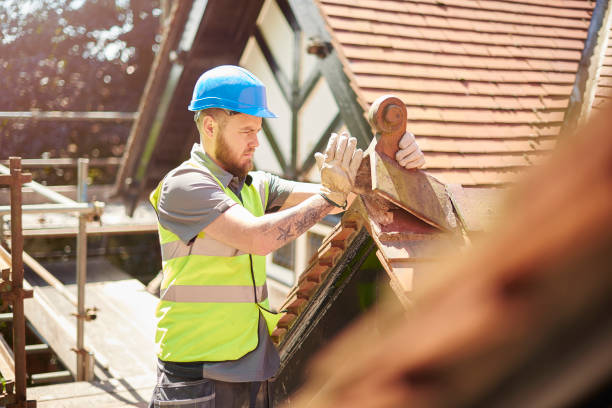 Best Roof Gutter Cleaning  in Pine Hills, CA