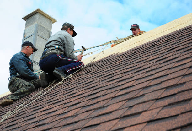 Best Commercial Roofing Services  in Pine Hills, CA
